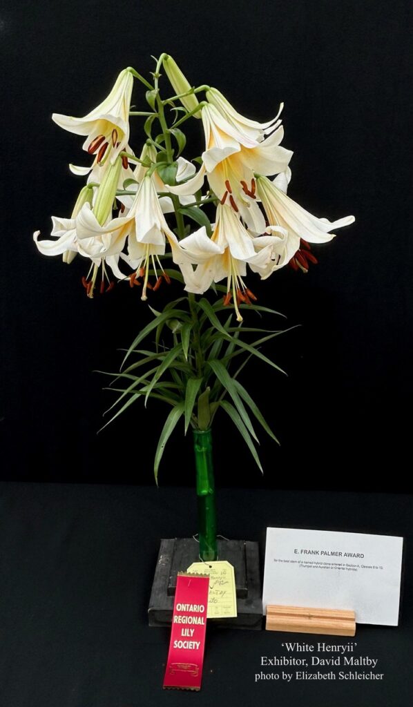 Ontario Regional Lily Society